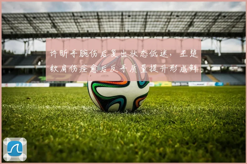 许昕手腕伤后复出状态低迷，王楚钦肩伤痊愈后反手质量提升形成鲜明反差